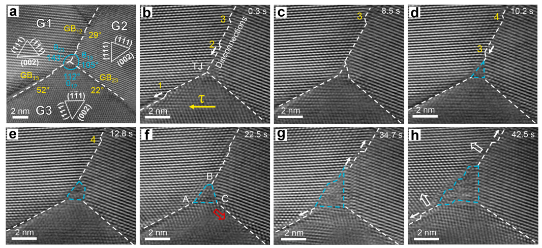 三叉晶界動(dòng)態(tài)重構(gòu)的原位觀測